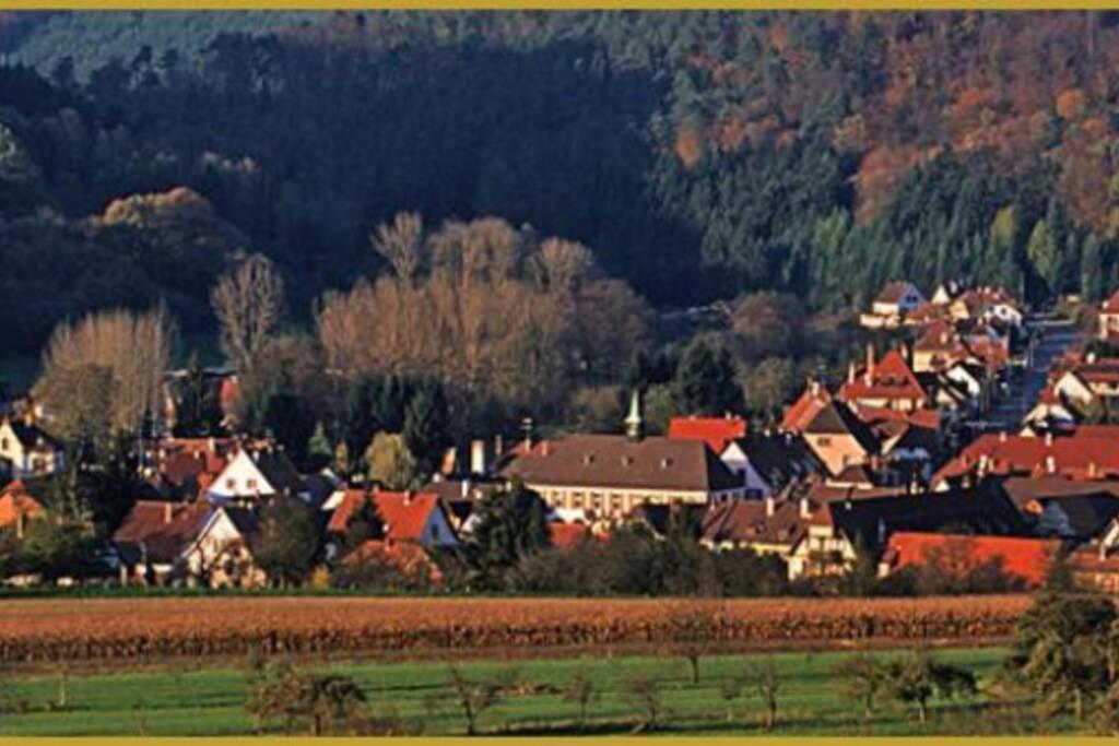 Ferienwohnung Am Dantzwaj Lembach Exterior foto